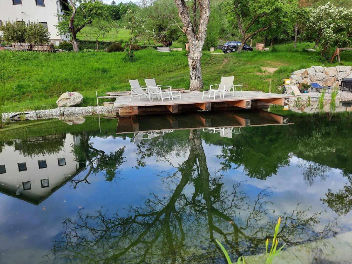 Loft-Like Apartment In Scheibbs With Swimming Pond Eksteriør billede